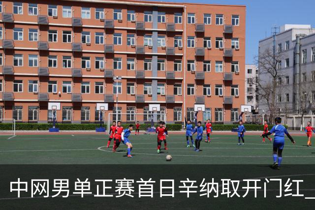 中网男单正赛首日辛纳取开门红 马纳里诺赢300胜